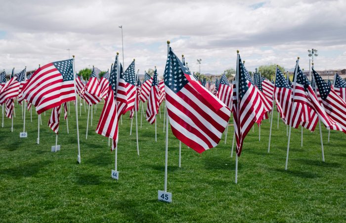 Field of American flags representing green card success for EB-1A extraordinary ability case study.