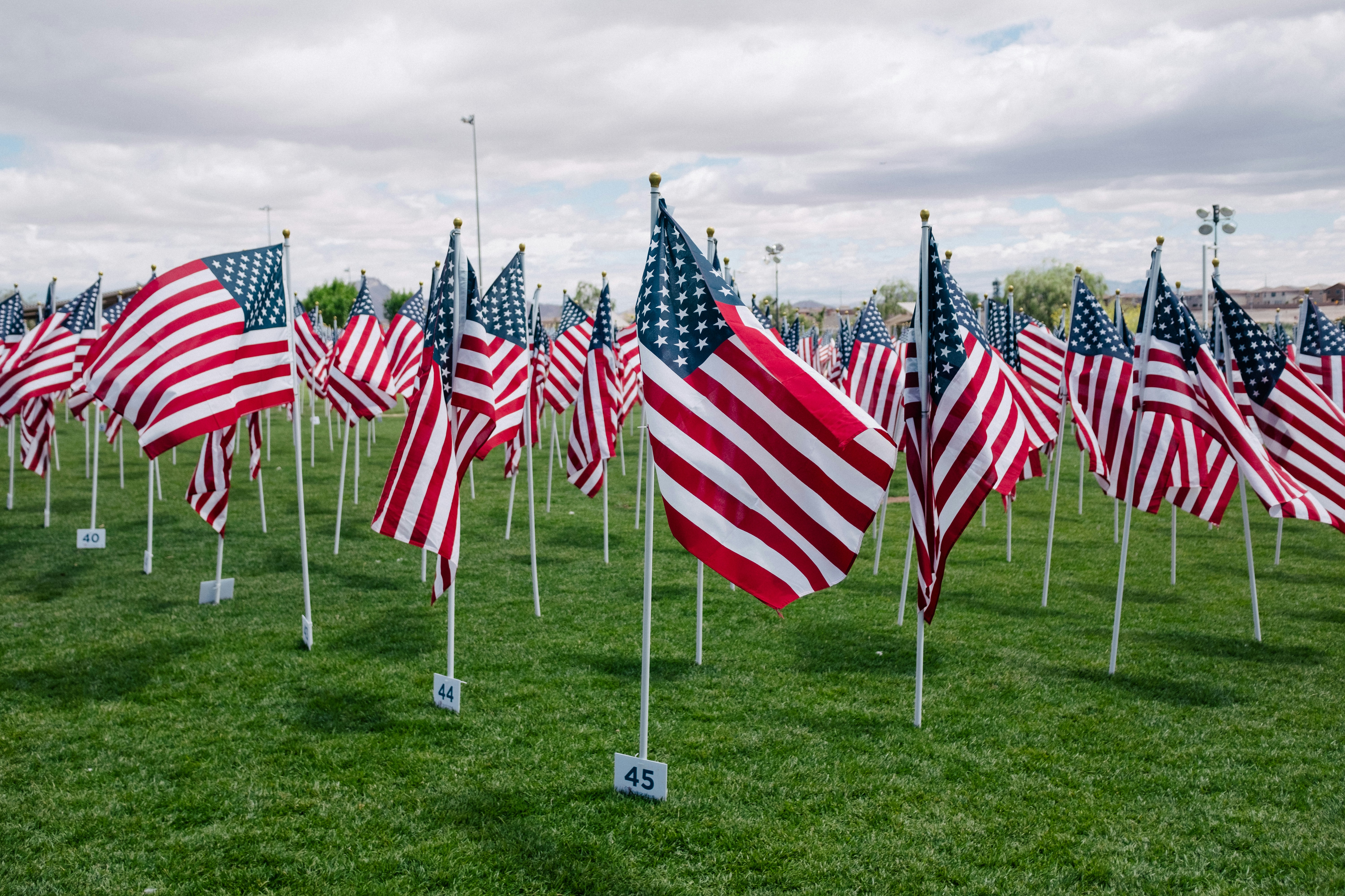 Field of American flags representing green card success for EB-1A extraordinary ability case study.